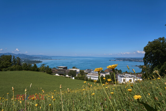 Ruhe, Weitblick und Lebensqualität in Harmonie