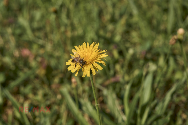 Ruhe, Weitblick und Lebensqualität in Harmonie