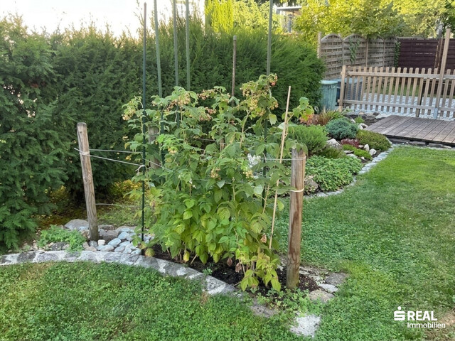 Gemütliche Gartenwohnung in ruhiger Lage