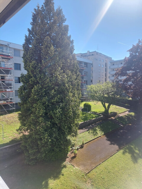 Charmante und preiswerte Wohnung in Toplage von Bregenz
