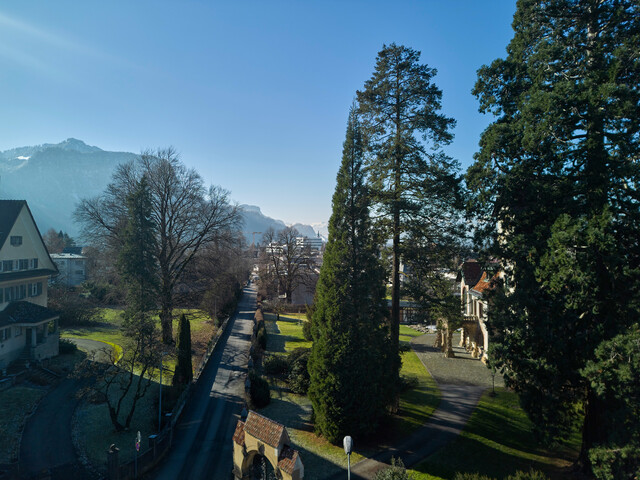 Arbeiten in privilegierter Lage: Büroflächen im Villenviertel von Dornbirn