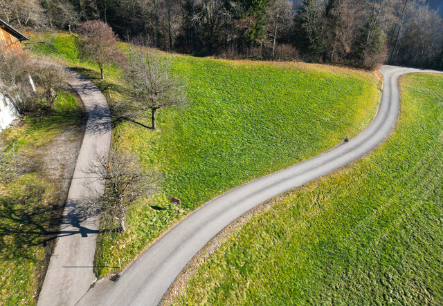 Baugrundstück Lehenweg St. Gerold_GST 2