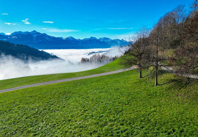 Baugrundstück Lehenweg St. Gerold_GST 2