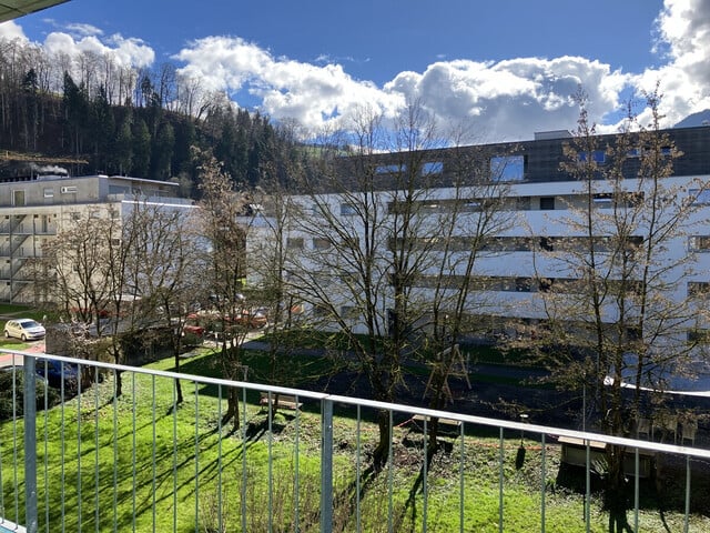 Gemütliche, neu renovierte 2,5 Zimmer-Wohnung in zentrumsnaher Lage mit Terrasse