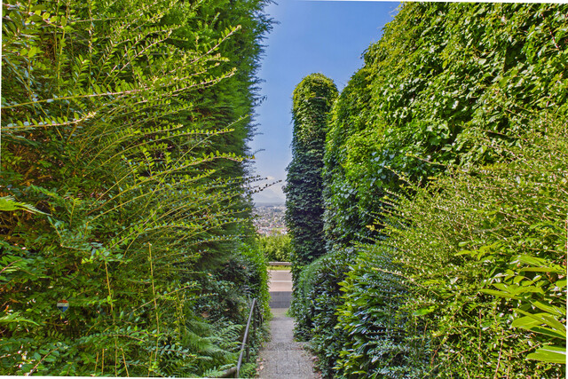 Reihenhaus in Kennelbach mit atemberaubender Fernsicht - zwischen Natur und Stadtnähe