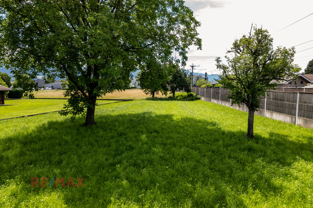 Baugrundstück mit 1.147 m² in Lauterach mit Blick ins Grüne