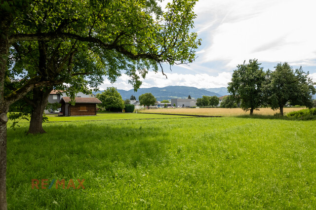 Baugrundstück mit 1.147 m² in Lauterach mit Blick ins Grüne