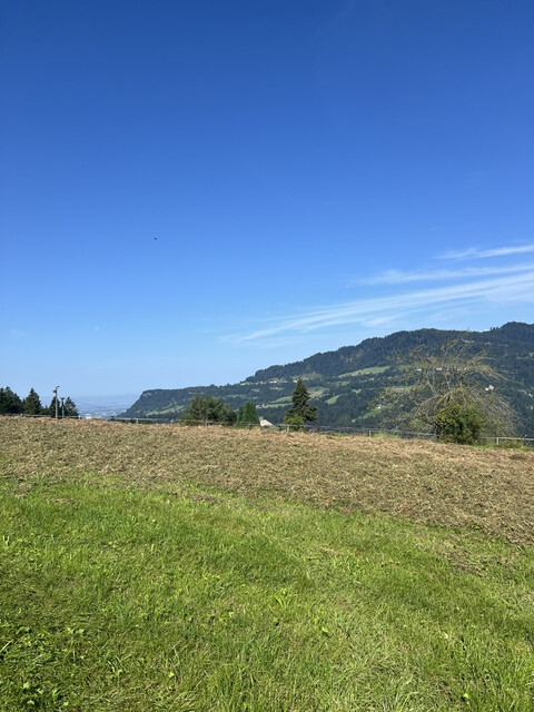 Einzigartiges Grundstück in Buch mit Rundumblick bis zum Bodensee