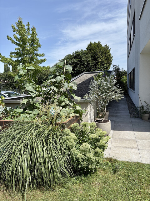 Schöne 80m2 Gartenwohnung in Altach provisionsfrei zu verkaufen 