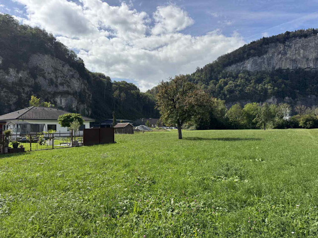 ATTRAKTIVES GRUNDSTÜCK AM RAND DES KUMMENBERGS