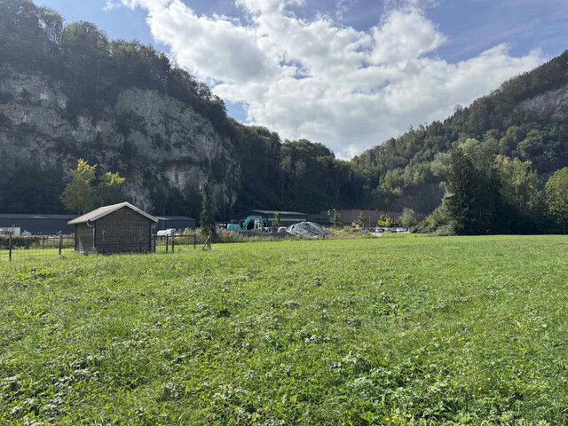 ATTRAKTIVES GRUNDSTÜCK AM RAND DES KUMMENBERGS