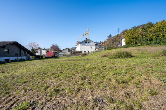 Schönes Grundstück in leichter Hanglage