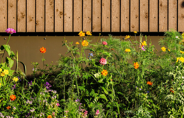 Penthousewohnung zum Spitzenpreis