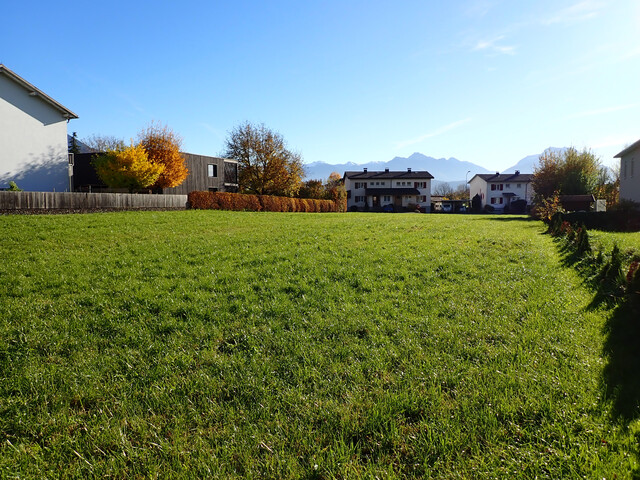 Klaus …ein oder zwei tolle Baugrundstücke, sehr schöne Lage – flexibel mit ca.  500 m² oder 1.025 m²