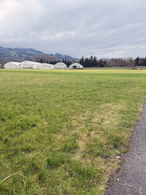 Privatverkauf: Baugrundstück in einer Sackgasse (Privatstraße), ideal für Familien, ruhige Lage