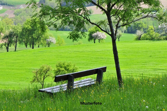 Land- und Forstwirtschaftsflächen