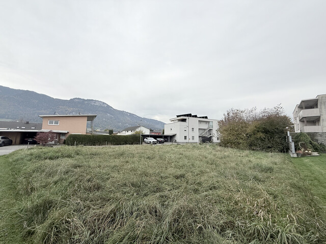 Grundstück  |  Hohenems   |  BNZ 60