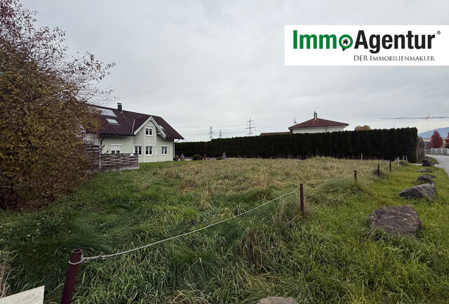 Grundstück  |  Hohenems   |  BNZ 60