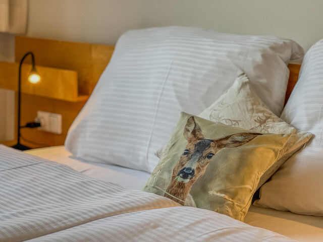 Ihr privates Alpen-Chalet im Kleinformat – Ferienwohnung mit seltener Zweitwohnsitzwidmung