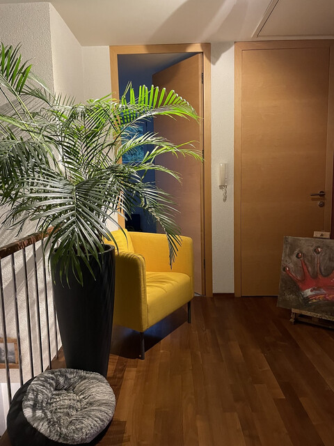 Traumhaftes Haus mit großen, hellen Räumen, großer Terrasse, Garten & Garage in Top-Lage!