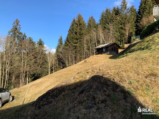 Panorama-Grundstück in Bildstein bereits erschlossen!