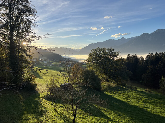 Wohnen im Grünen
