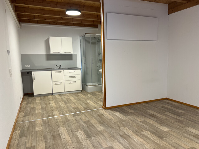 Nette Kleinwohnung, Appartement, Studio mit PKW-Abstellplatz, Strom inkludiert