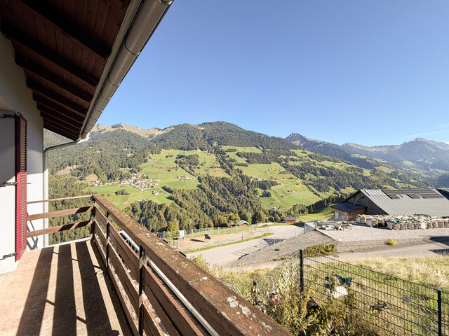 Großzügiges Wohnhaus mit Einliegerwohnung, Werkstatt und viel Potenzial