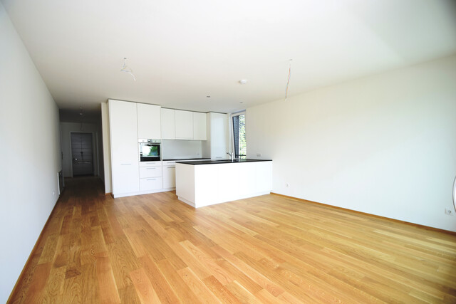 sehr schöne Terrassenwohnung in Lustenau zu vermieten