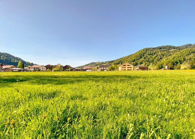 2-Zimmer Wohnung mit Terrasse & großem Garten! Top 4
