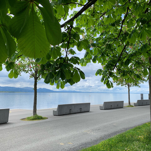 Wohnen am Bodensee: 3Zimmer Gartenwohnung in Toplage nur etwa 150 Meter vom Bodenseeufer – 3 Zi. Garten Wohnung