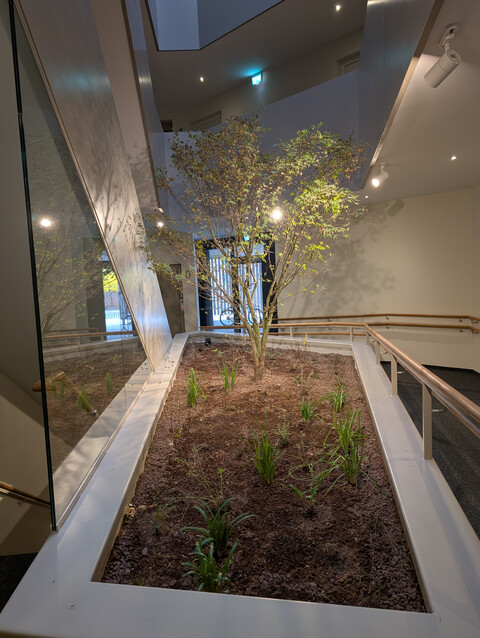 Neue ruhige 3 Zimmerwohnung in Feldkirch Gisingen