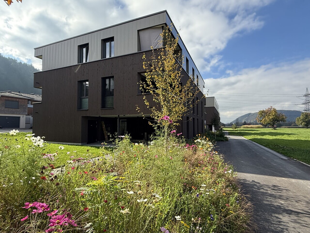 Erstklassige 3-Zimmerwohnung mit Bergblick in Rankweil zu vermieten