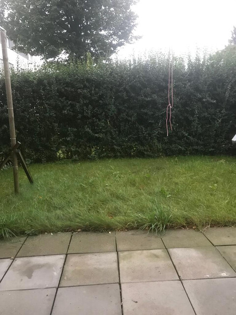 Wunderbare Gartenwohnung mit TG Platz in Hard