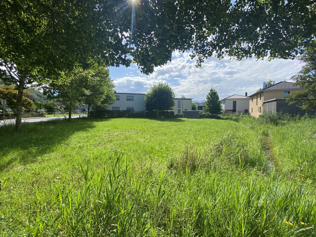 Grundstück  |  Koblach  | zentrale Lage