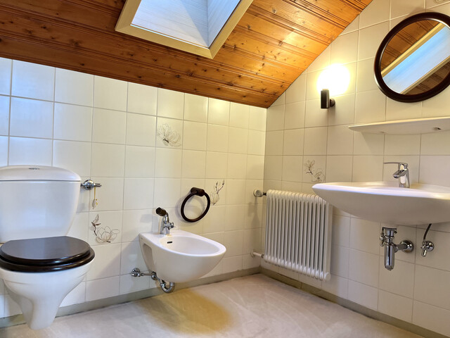 Einfamilienhaus mit herrlichem Bergblick, Kaminzimmer & großem Garten