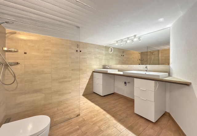 Sanierungsbedürftiges Haus auf großem Grundstück