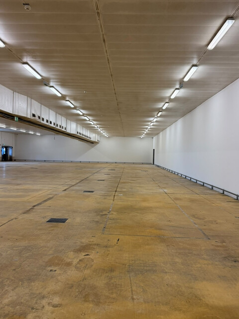 Lagerhalle mit integrierten Büroflächen / Meiningen nähe Schweizer Grenze