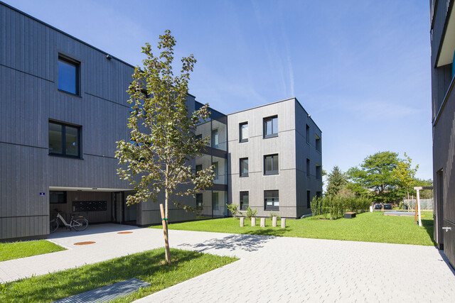 4-Zimmer-Terrassenwohnung W13 in Wolfurt!