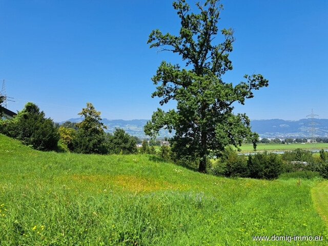 Teilbares Baugrundstück mit 1.338 m² in Toplage am Gitzebühel - Koblach
