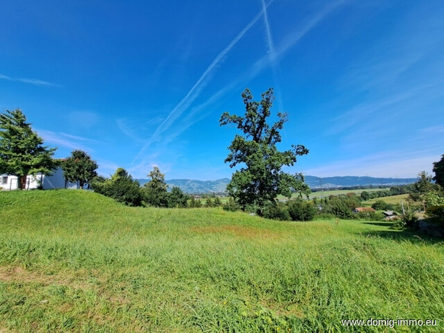 Teilbares Baugrundstück mit 1.338 m² in Toplage am Gitzebühel - Koblach