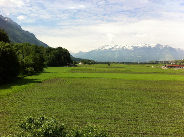 ruhig gelegene Dachgeschosswohnung
