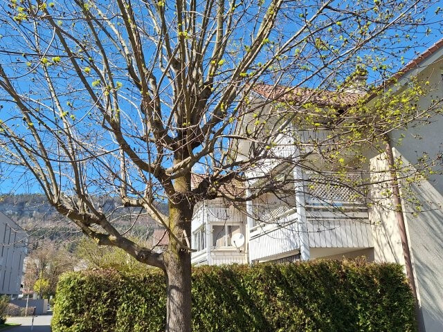 Gemütliche 2- Zimmerwohnung in Feldkirch -Tosters zu verkaufen!