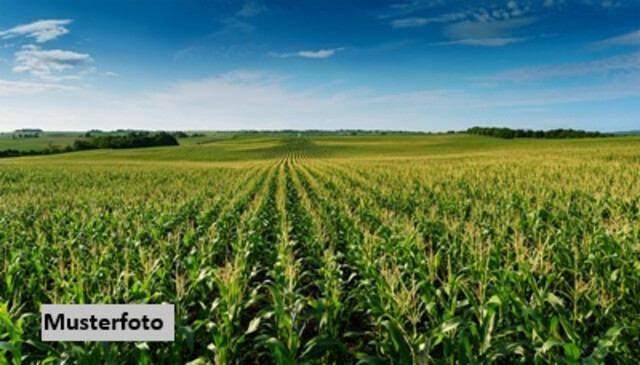 Landwirtschaftlich genutztes Grundstück + provisionsfrei +