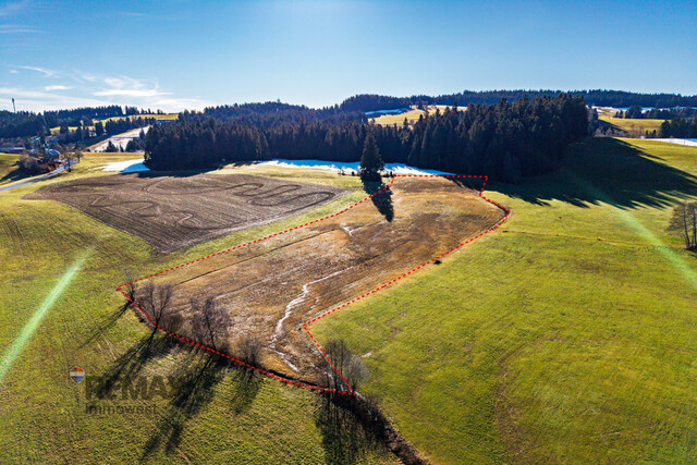 Goldene Felder für Ihre Ernte –
Ihre Chance, den Boden zum Leben zu erwecken!