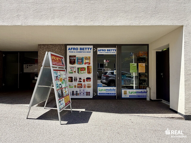 Immobilienpaket in erstklassiger Stadtlage (15 Wohnungen, 2 Geschäftslokale & 15 Tiefgaragenparkplätze) - Share Deal möglich