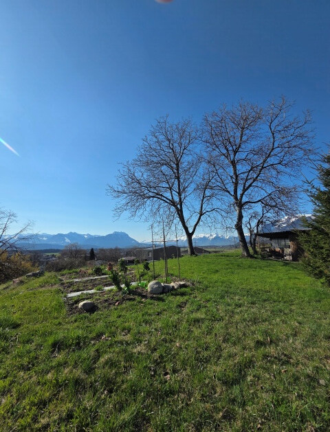 Traumhafte Grundstücke in bester Lage, auf dem Kummenberg, zu kaufen!