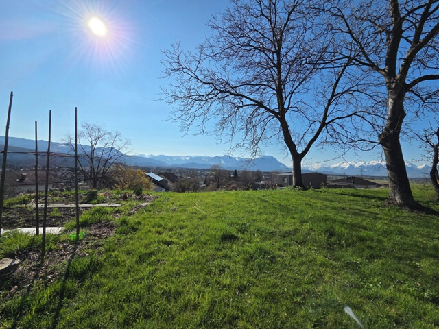 Traumhafte Grundstücke in bester Lage, auf dem Kummenberg, zu kaufen!