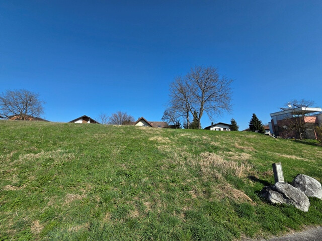 Traumhafte Grundstücke in bester Lage, auf dem Kummenberg, zu kaufen!