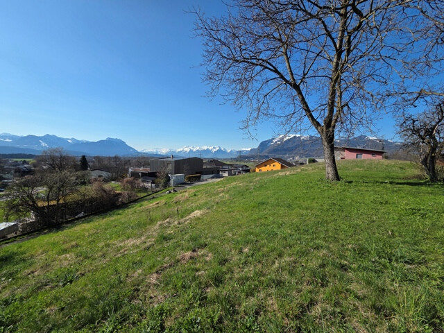 Traumhafte Grundstücke in bester Lage, auf dem Kummenberg, zu kaufen!